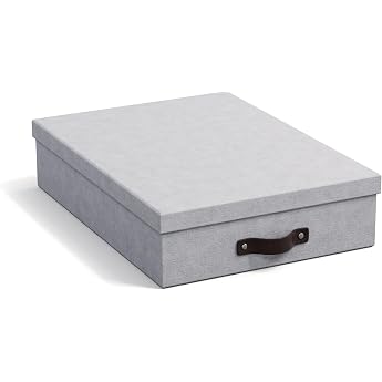 BIGSO BOX OF SWEDEN Oskar A4 Document Box - Storage Box with Lid and Handle - Desk Tray for Paper Brochures & Documents - Fibreboard and Paper Box - Light Grey
