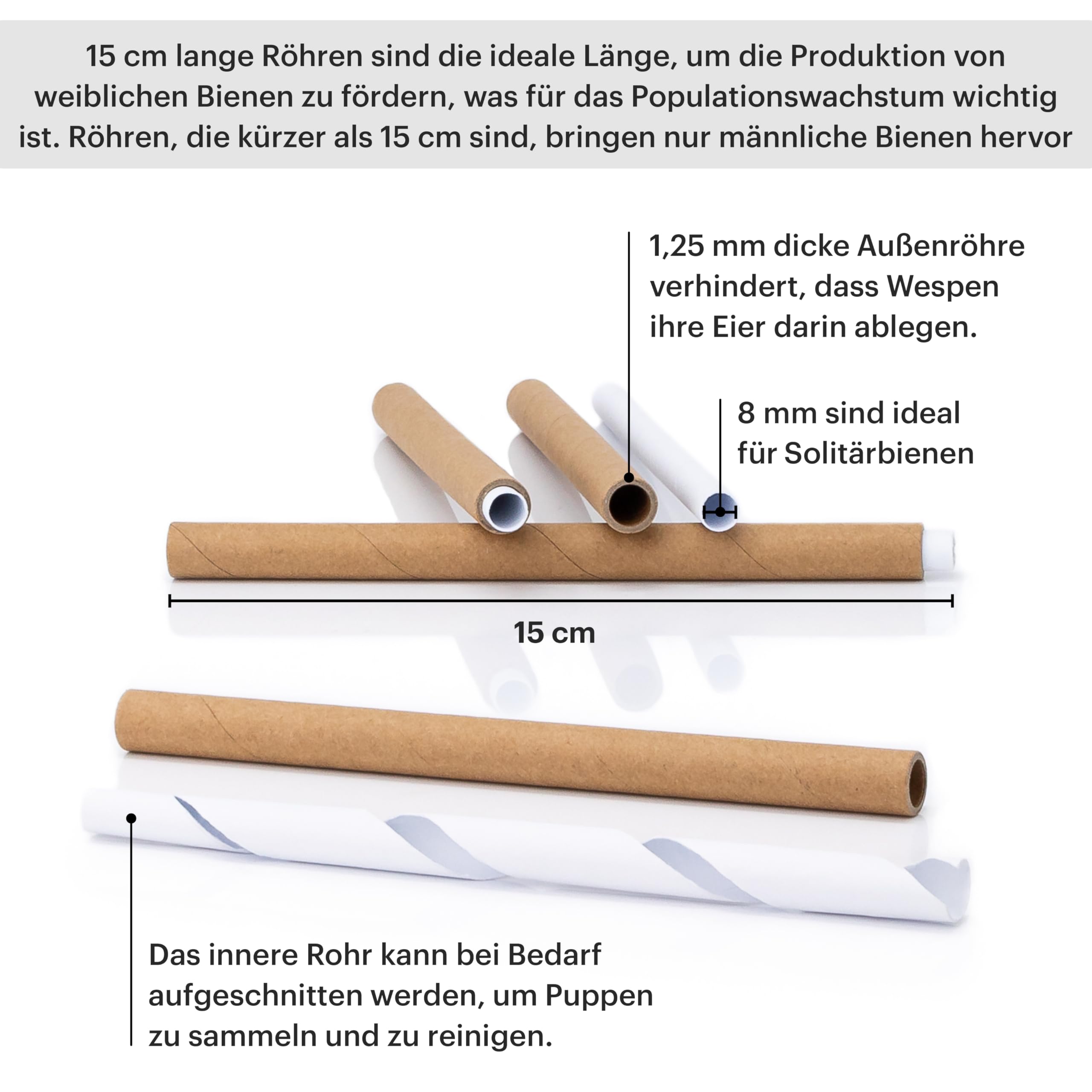 WHITEHORSE Premium-Bienenhaus – Aus Zedernholz – 15 cm Lange austauschbare Röhren – EIN Insektenhotel für die Ewigkeit – Unterstützen Sie Bienen bei der Bestäubung Ihres Gartens