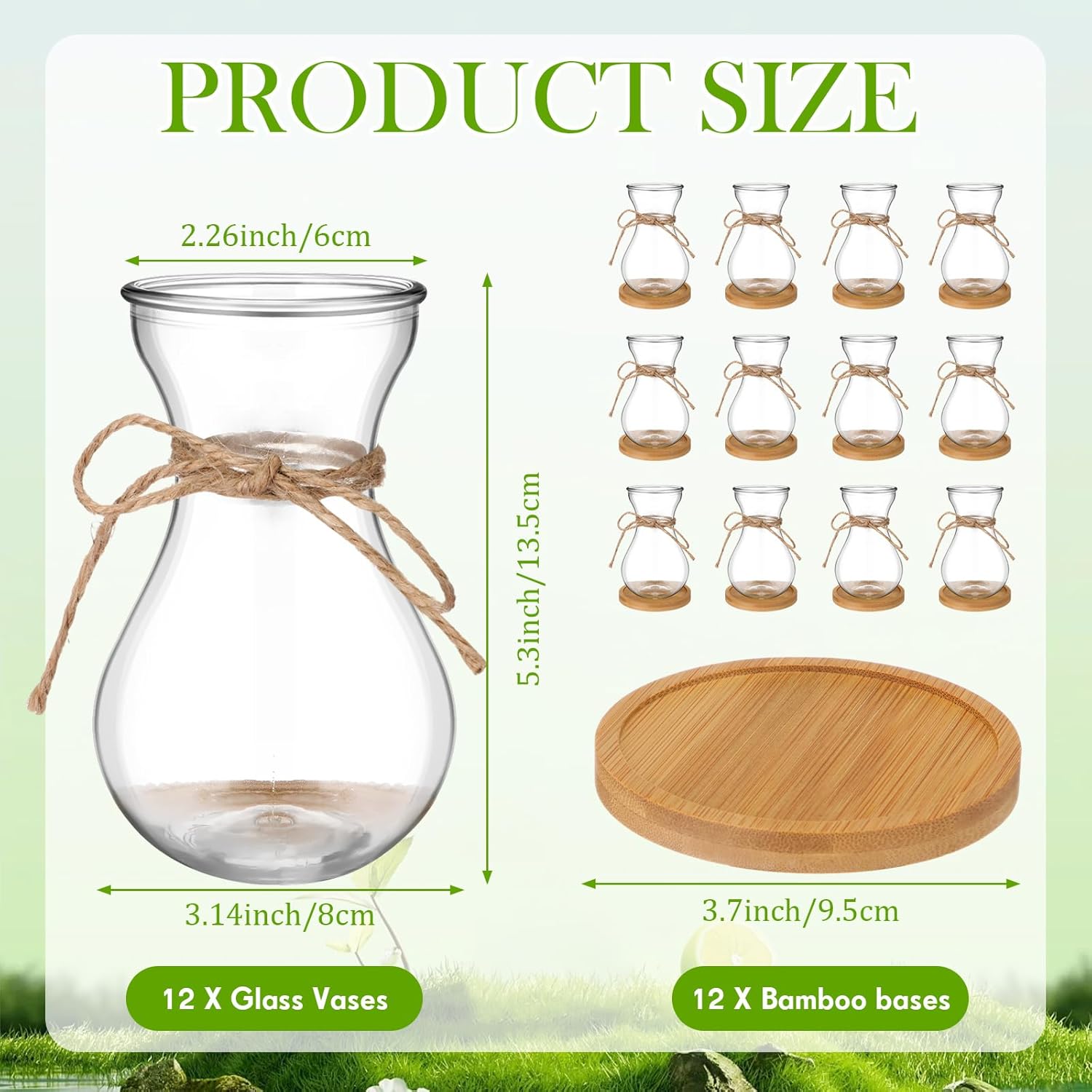 Bulb Glass Vases for Flowers Forcing Hyacinth Clear Decorative Bulb Vase with Round Bamboo Coaster for Home Office Table Decoration(12 Pcs) - Image 2