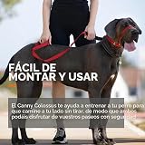 Ver la foto 6