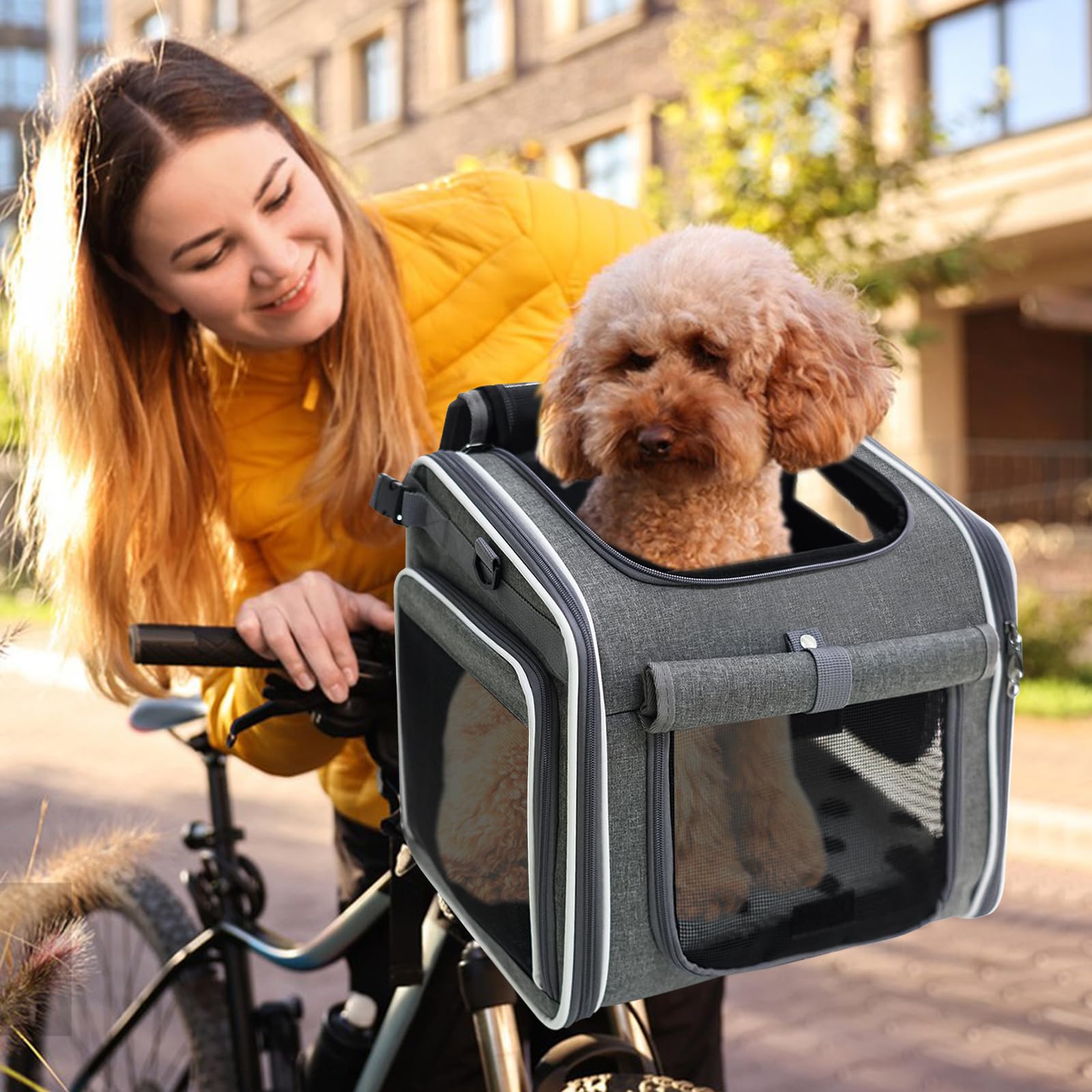 hundekorb Fahrrad vorne, Fahrradkorb Hund, hundekorb Fahrrad mit 4 Mesh-Fenster, Hunde Fahrrad Korb 4-Offenen Türen, fahrradkorb für Hunde für Kleine Katzen und Hunde