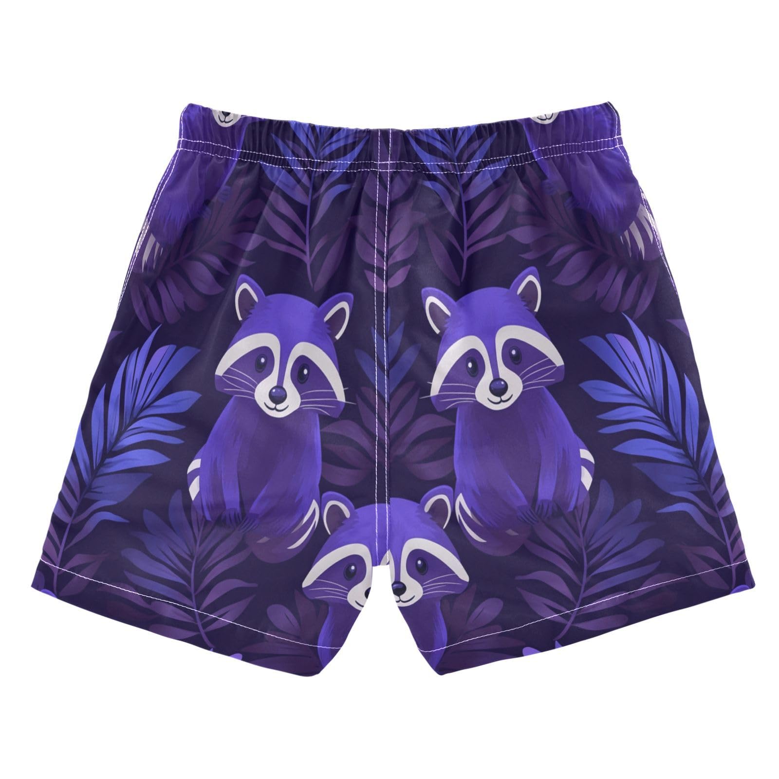 Jucciaco Boys Beach Board Shorts Raccoon Purple Cartoon Quick Dry Swim Trunk Swimwear for Kids
