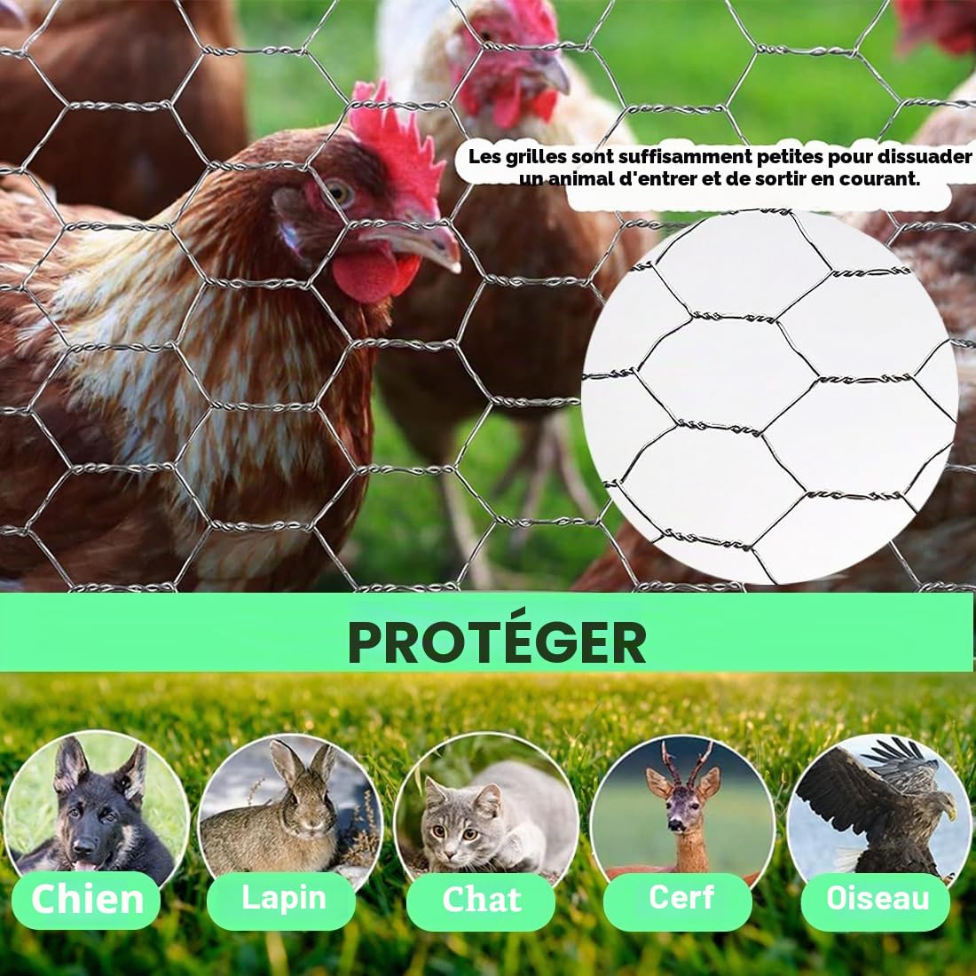 Rouleau de grillage pour poulet, 25 m x 40 cm, filet de clôture solide pour volaille, animal domestique, lapin, clôture de jardin, barrière animale, antirouille galvanisé, projets de bricolage