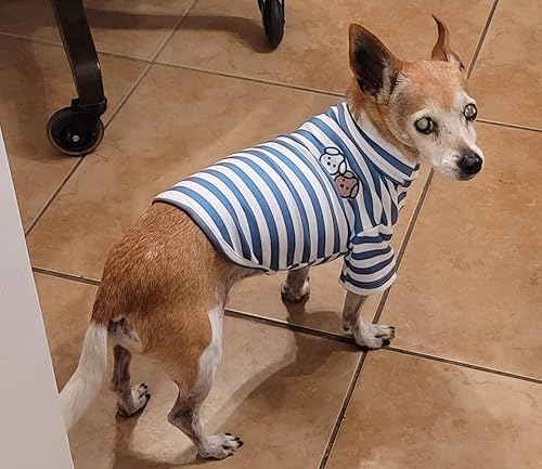 Miniatura 6 de Linda camisa bordada para perro, cuello alto, suéter elástico de algodón a rayas para mascotas, suéter para gatos y perros pequeños (XS, rayas