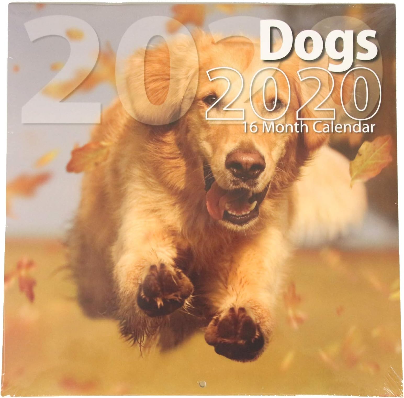 Bachmann Press 2020 Wall Calendar 12" x 24" (Dogs)