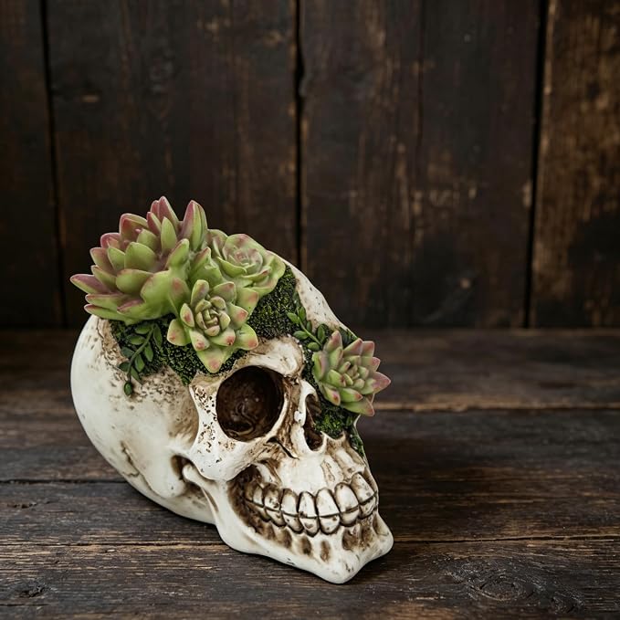 Skull Succulent Figurine Gothic Resin Decor for Halloween & Novelty Gift