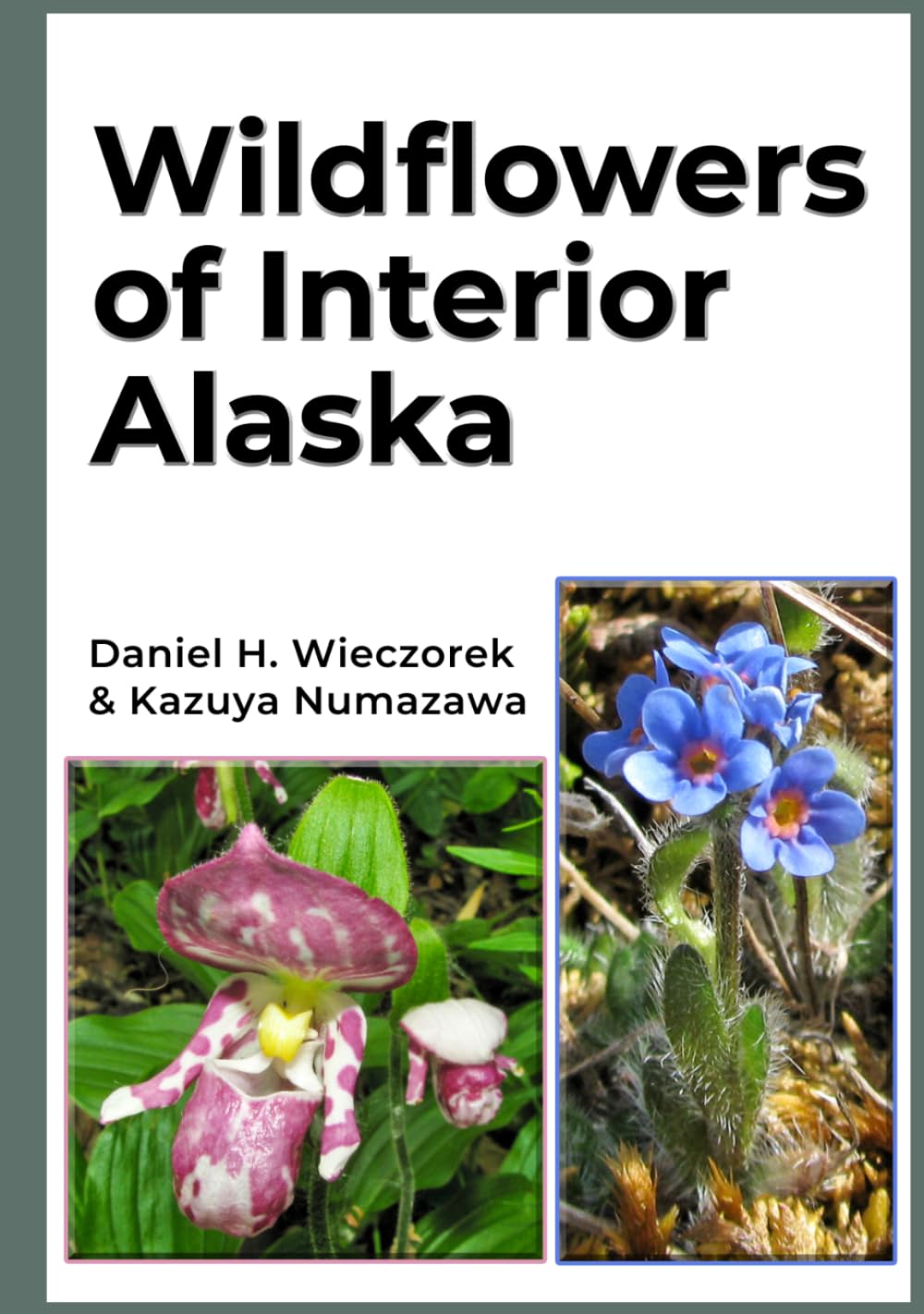 Wildflowers of Interior Alaska (Alaska Wildflowers)      Hardcover – January 21, 2026