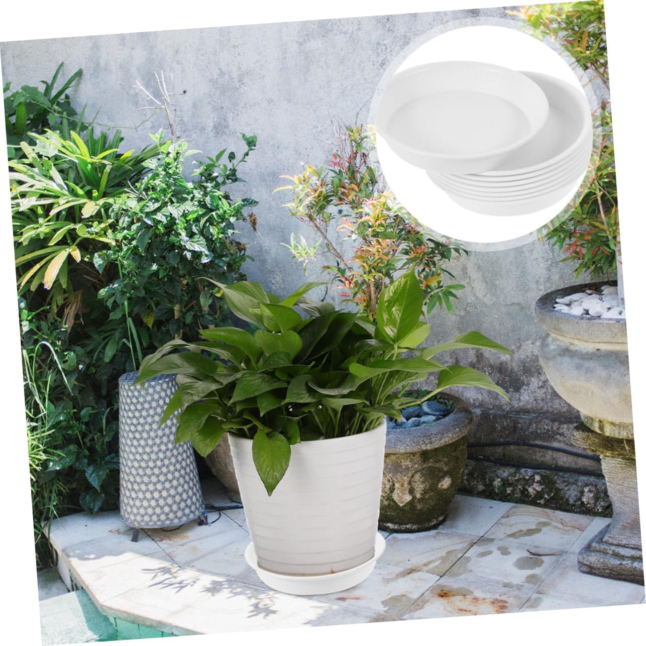 30pcs Round Plant Saucer Tray for Pots Material Water Catcher for Indoor and Outdoor Use Outer Diameter White for Flowerpots and Bonsai