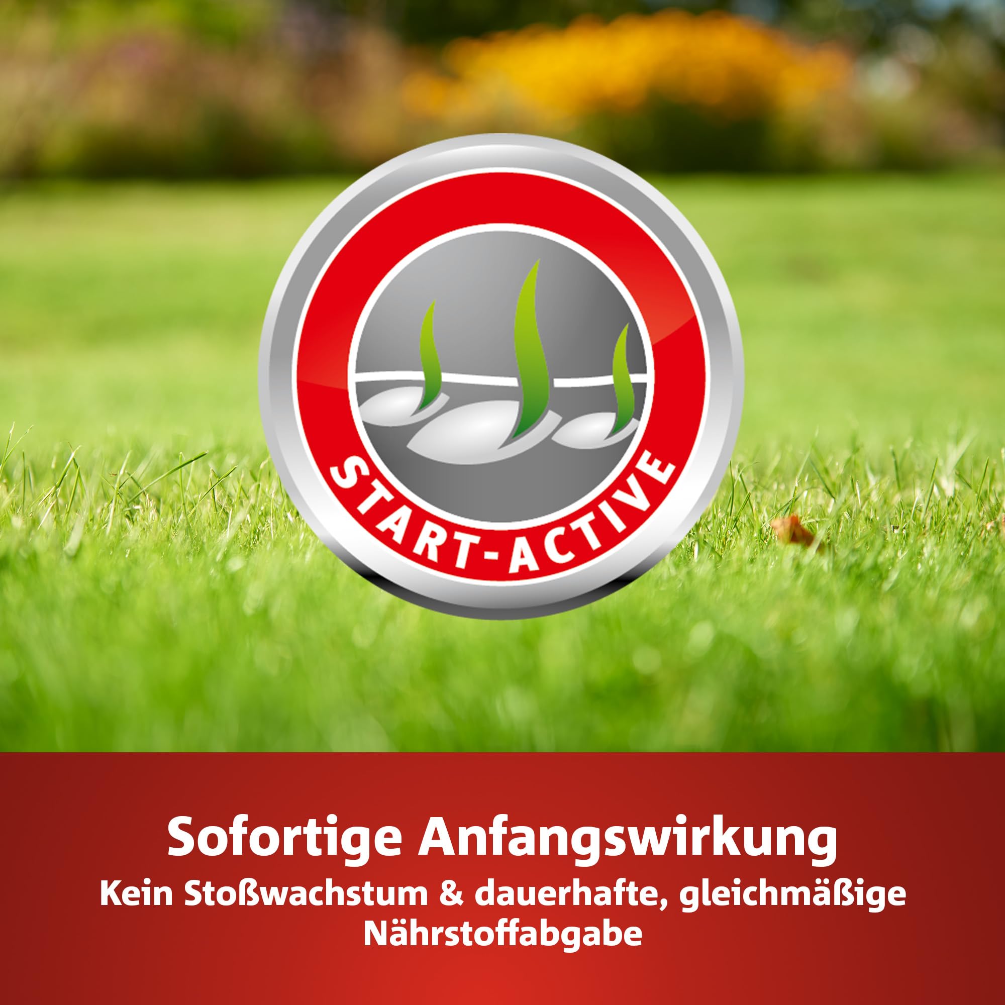 WOLF-GARTEN Premium Rasen-Langzeitdünger LE 450 120 Tage 450 m2