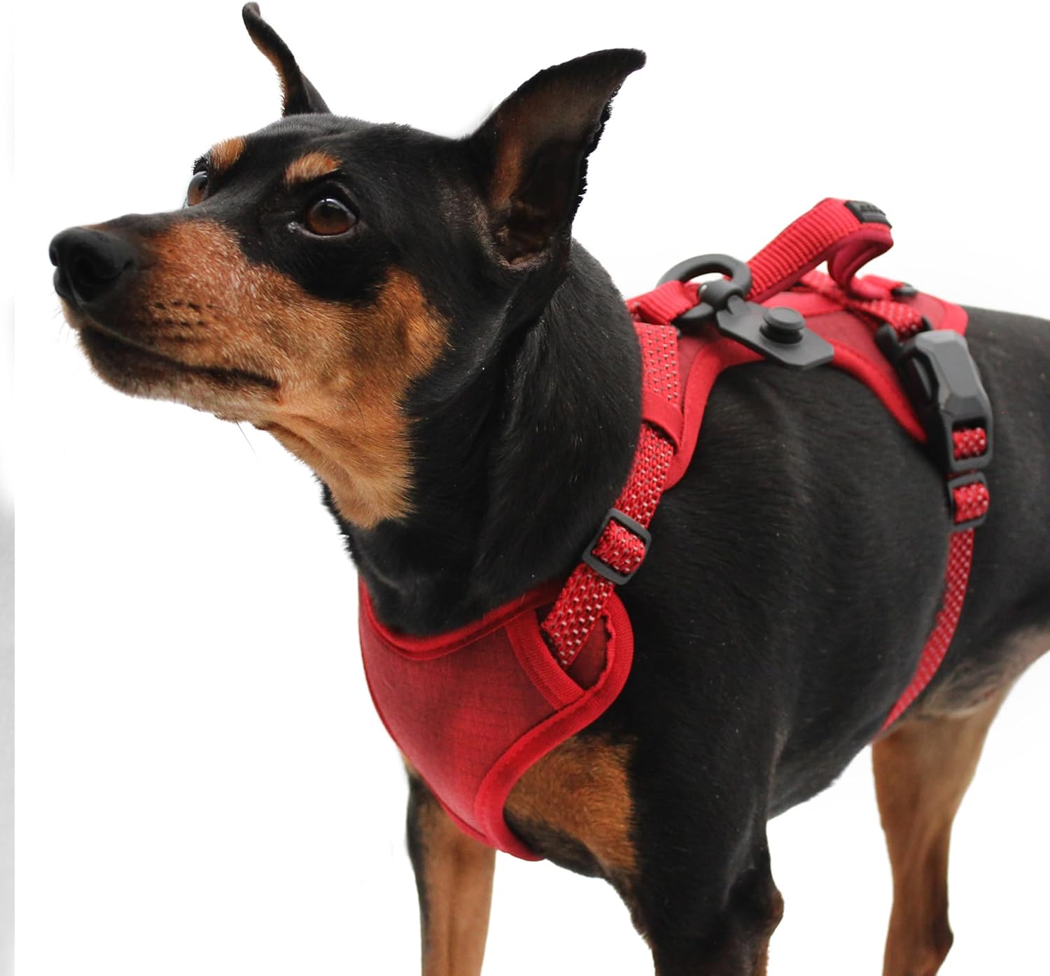 Magnetic Quick Clip: Control Harness - Red, Large