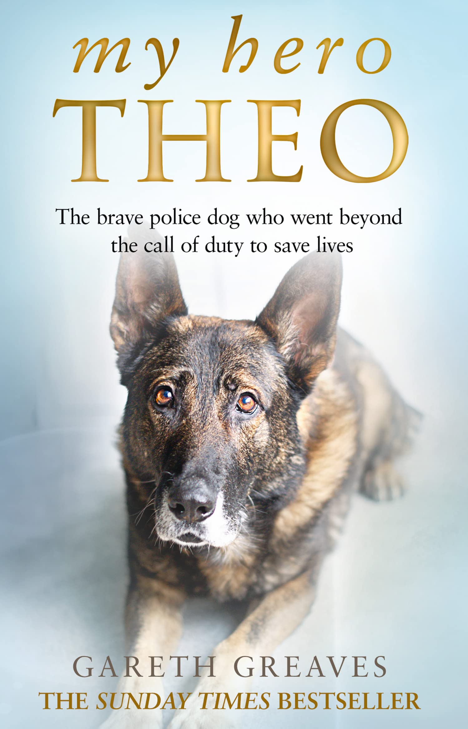 HarperImpulse My Hero Theo: Der mutige Polizeihund, der über seine Pflichten hinaus Leben rettete