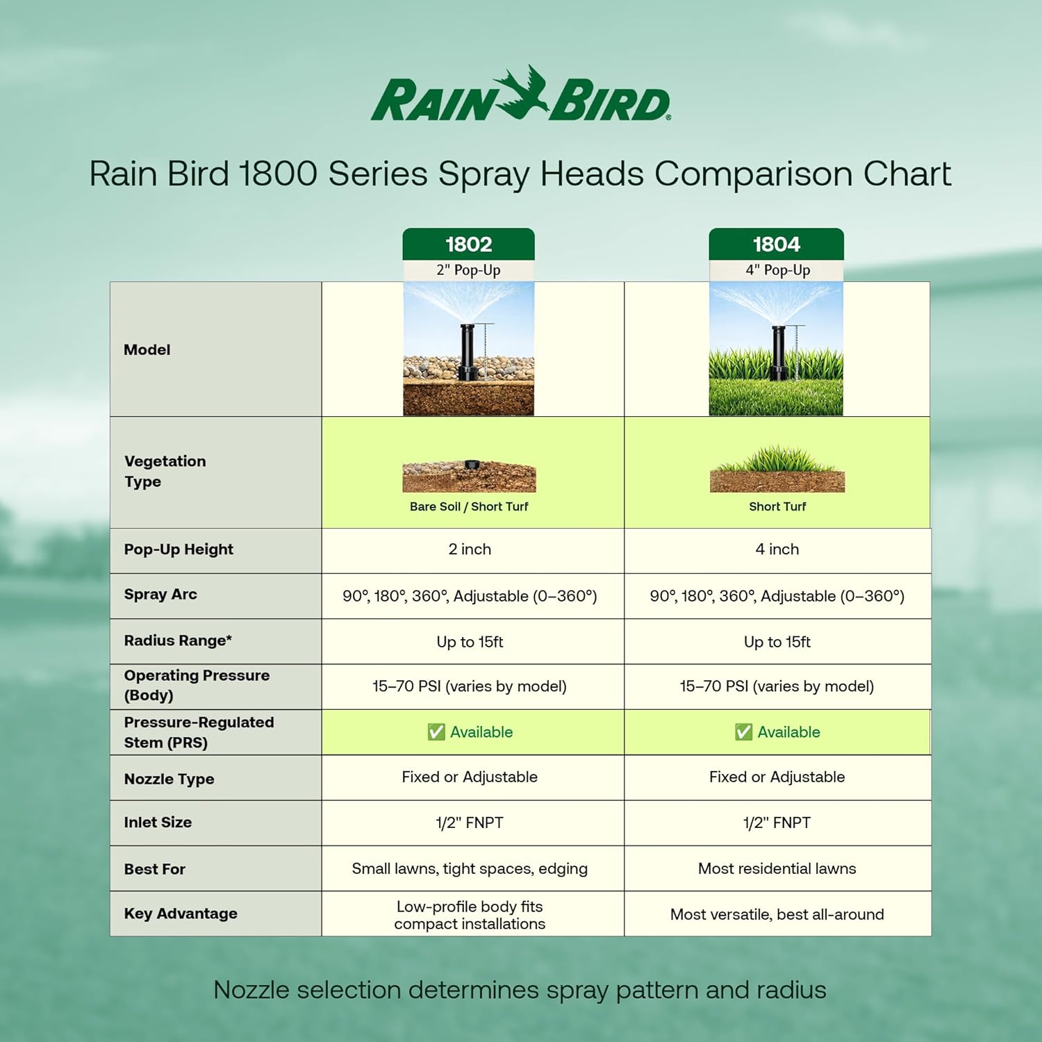 Rain Bird 1802APPRS Pressure Regulated 1800 Series Dual Spray 2 Inch Pop Up Sprinkler Head, 4 Pack -Water Efficient Lawn Sprinkler with 360 Degree Pattern, 1/2 Inch NPT, Up to 15 Ft Spray Distance
