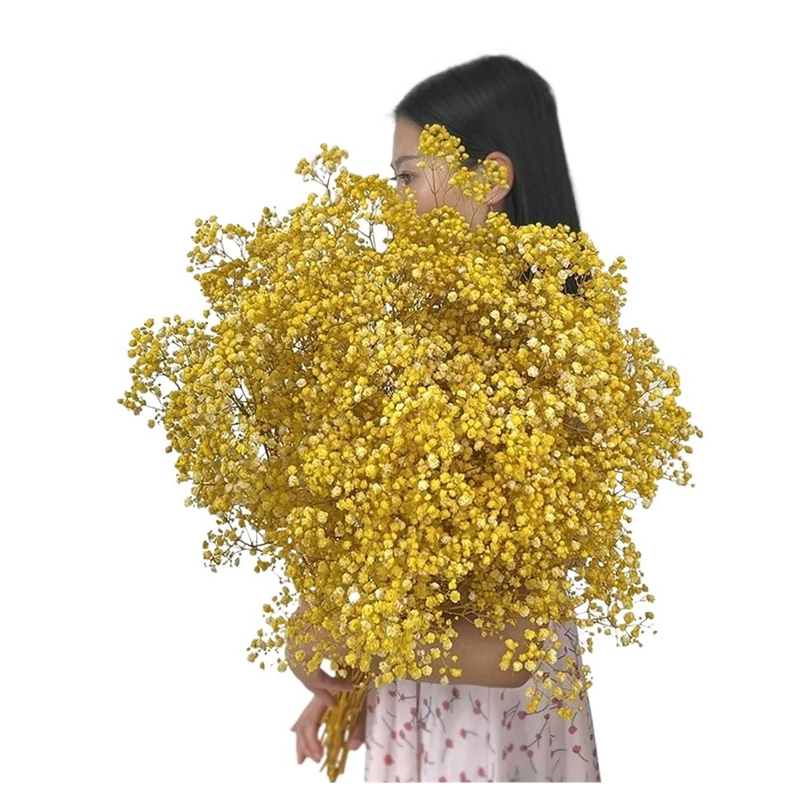 WJIAYAO dried gypsophila flowers Dried Baby Breath Flowers Gypsophila Bouquet Bridal Wedding Decoration Home Decor(YELLOW,80g)