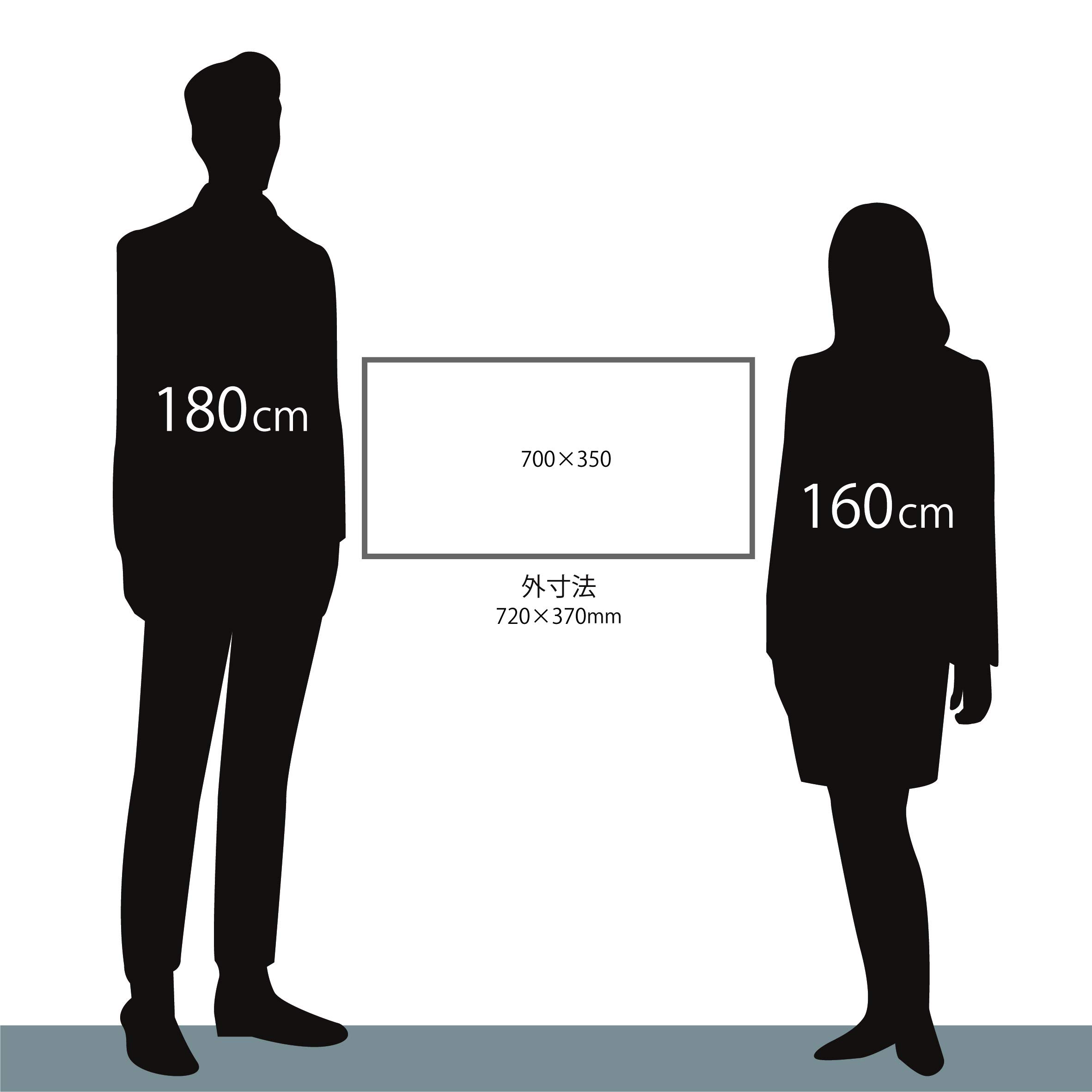 Amazon.co.jp: 大額 横長額 700x350 セピア アクリル 9755 : ホーム