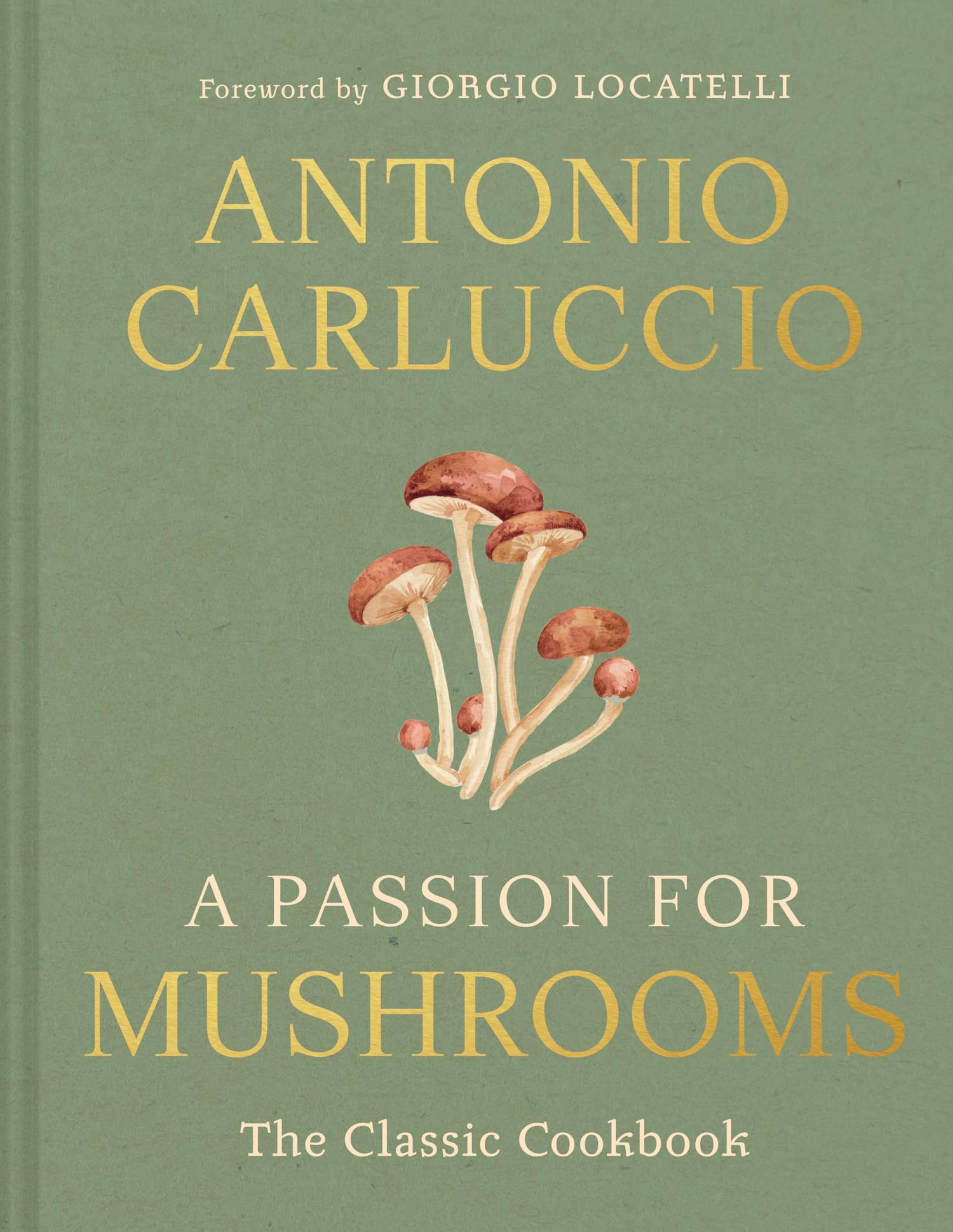 A Passion for Mushrooms: A comprehensive cookbook and foraging field guide for mushroom enthusiasts