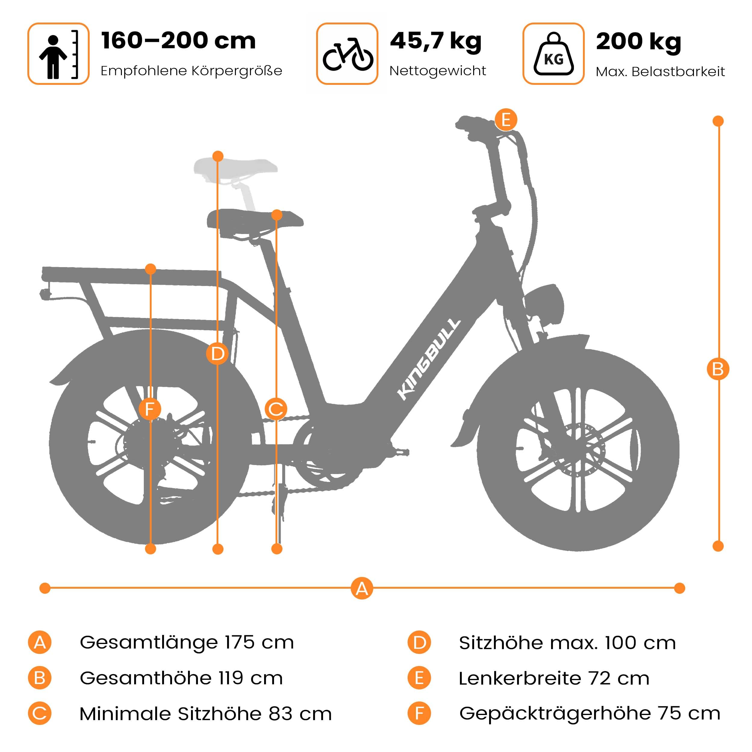 Elektric Cargo Bike Fat Tire E-Bike 20 Zoll 200kg Zuladung 960Wh, 25km/h Elektrofahrrad 100km Reichweite, Hydraulikbremsen für Erwachsene