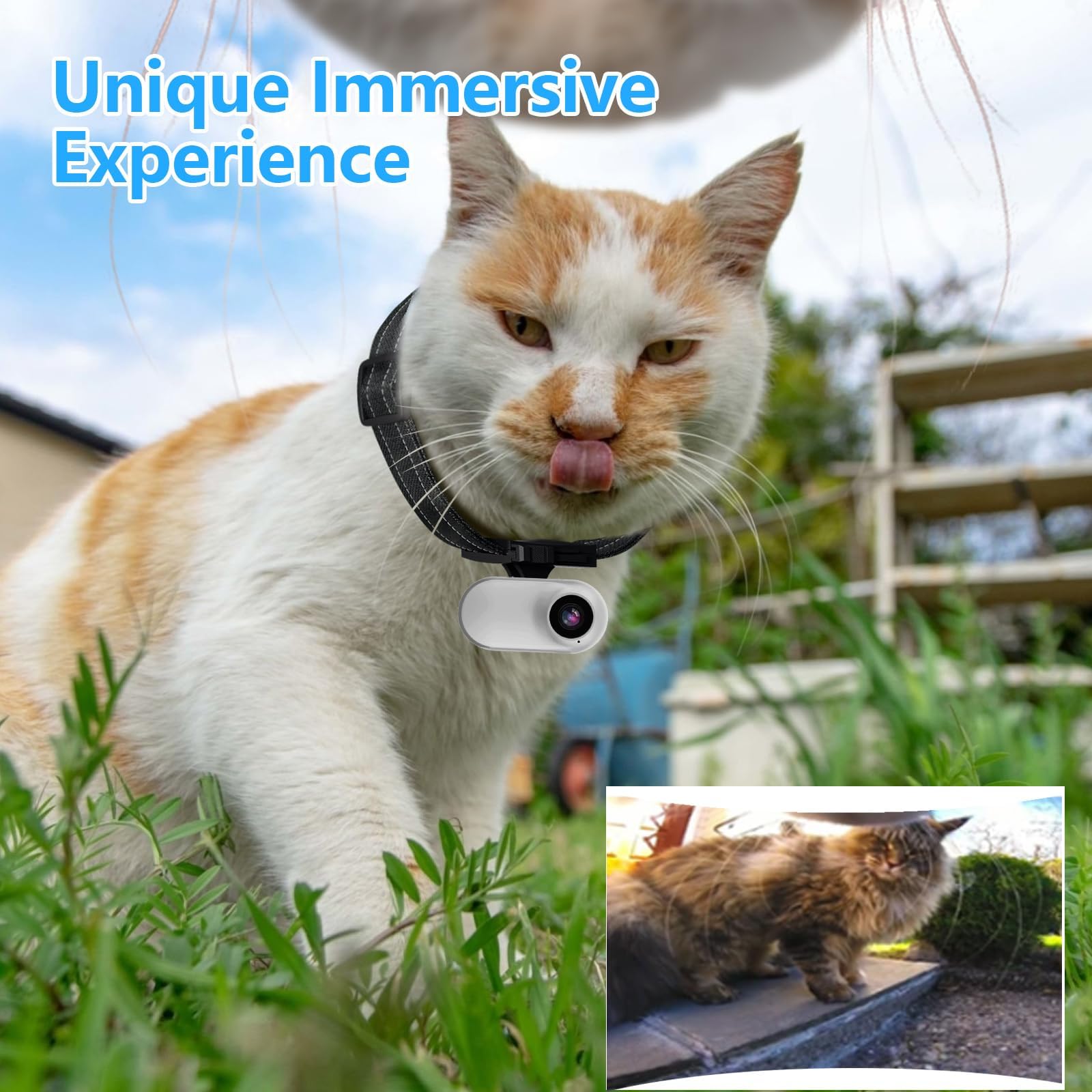 Collar de cámara HD 1080P para gatos con grabación de video, mini cámara deportiva inalámbrica, cámaras de acción pequeñas, cámara corporal para suministros de mascotas, regalo de cumpleaños