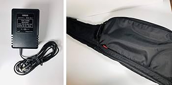 Amazon | ヤマハ サイレントギター クラシックギター SLG-100N