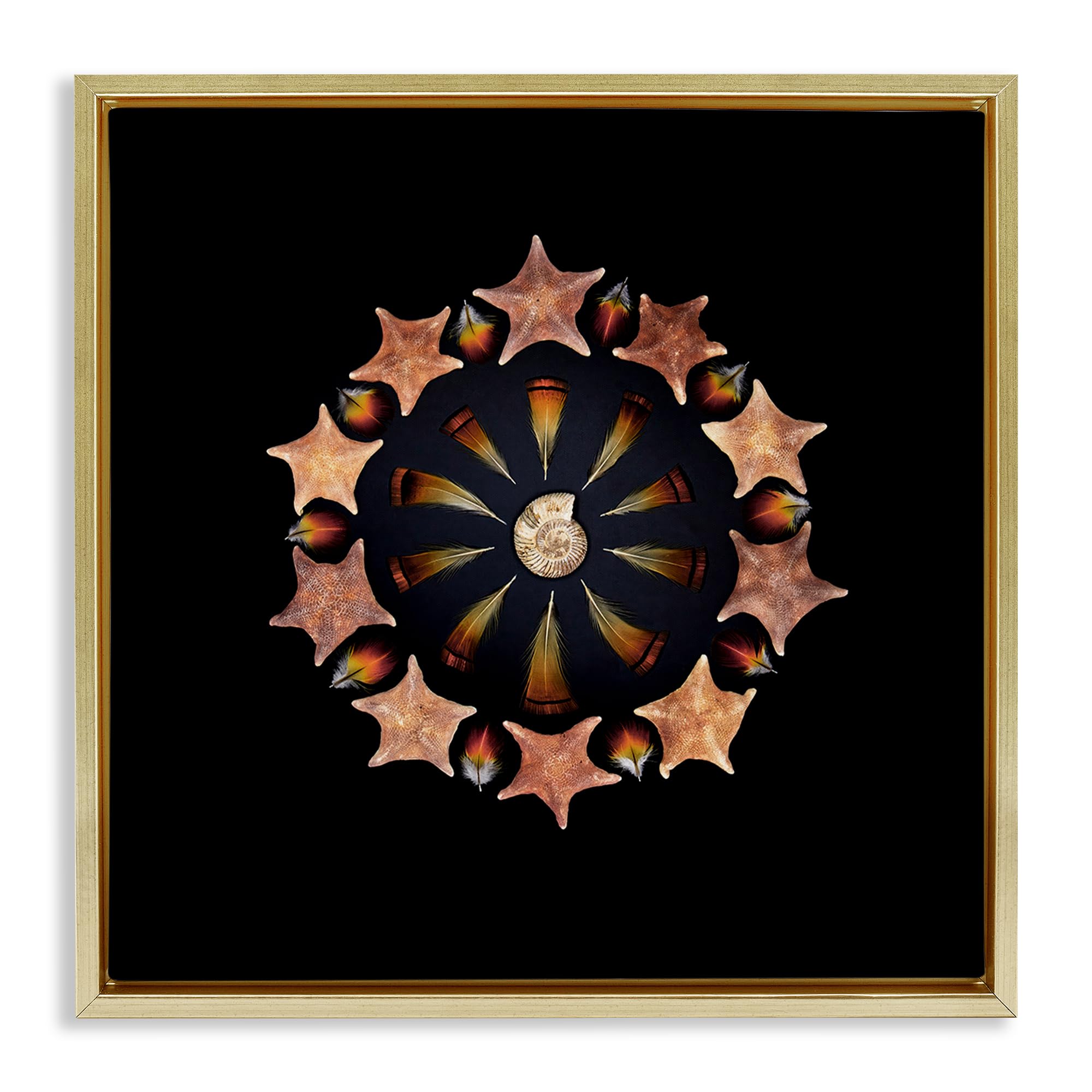 'Nautical Nature Arrangement'| Floating Frame Canvas Art