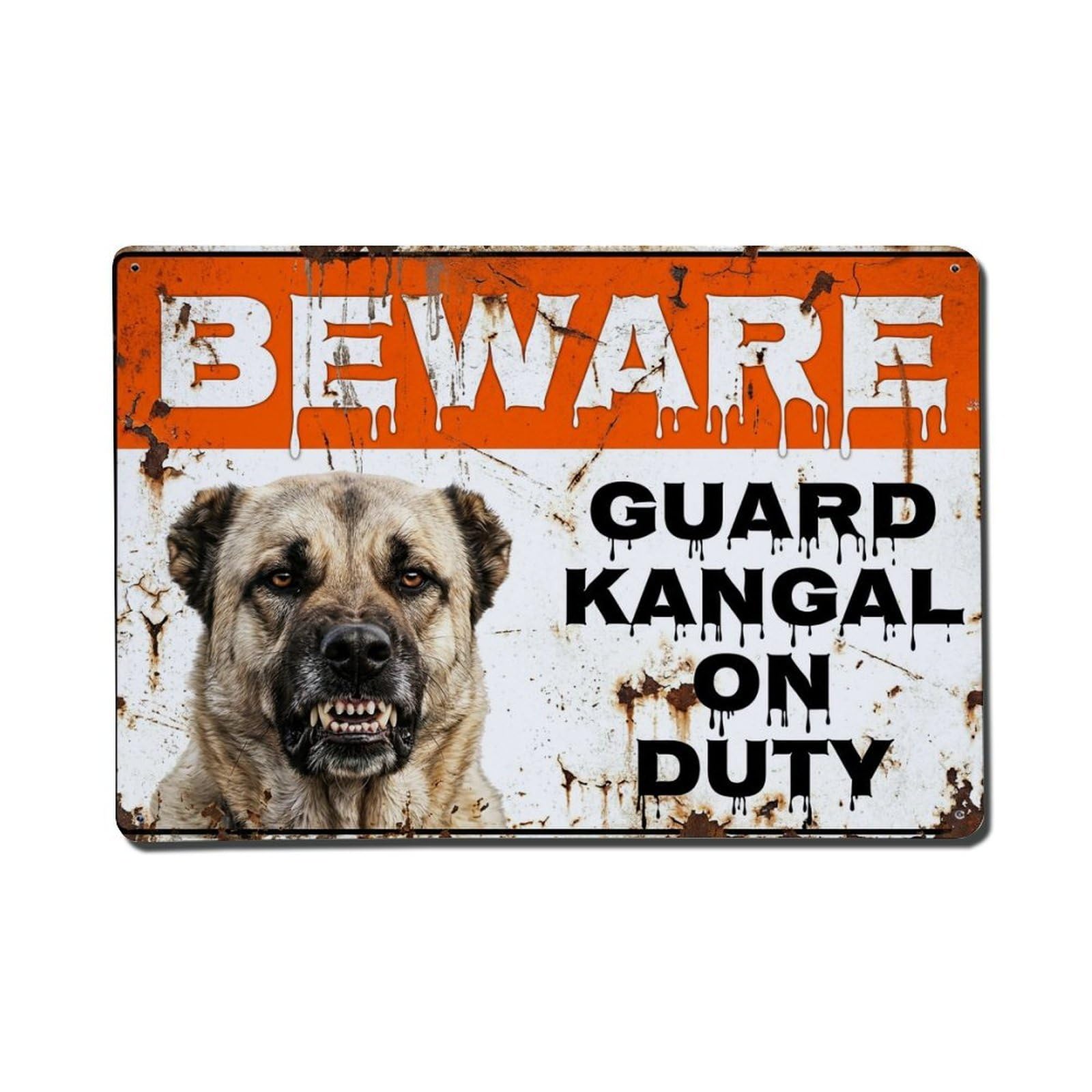 Vintage Funny Kangal Guard Beware of Dog Doormat Metal Tin Sign