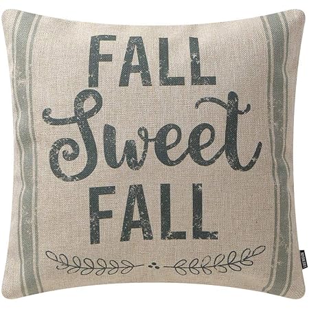 fall sweet fall pillow