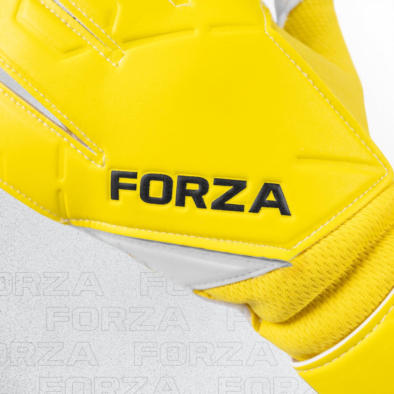 View 5