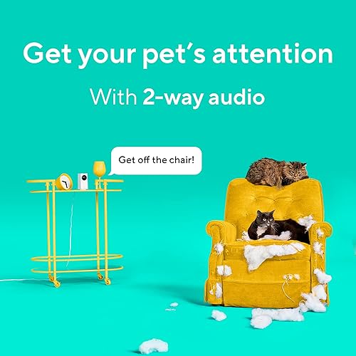 Miniatura 6 de Wyze Cam Pan v2 Cámara para mascotas de 360 con aplicación de teléfono, cámara de seguridad inteligente PTZ para interiores, para monitoreo de