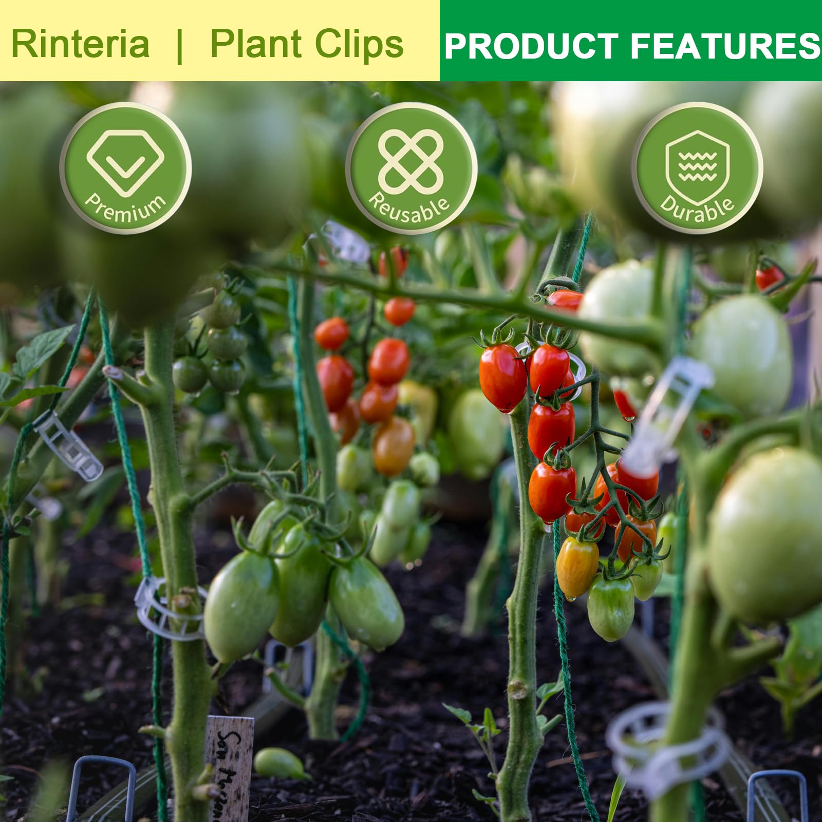 Tomatenklammern für Kletterpflanzen, 100 Stück, Pflanzenstützclips & Gartenclips für Gemüse, Rebe, transparent, wiederverwendbar, Kunststoff, Pflanzenclips für drinnen und draußen,