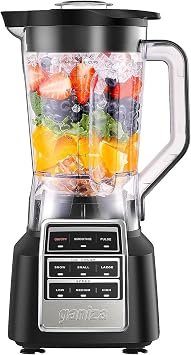 Ganiza Smoothie Blender Max 1800W, Professional Blenders for Kitchen