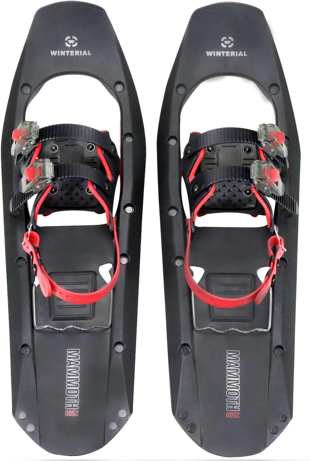 Mammoth Snowshoes