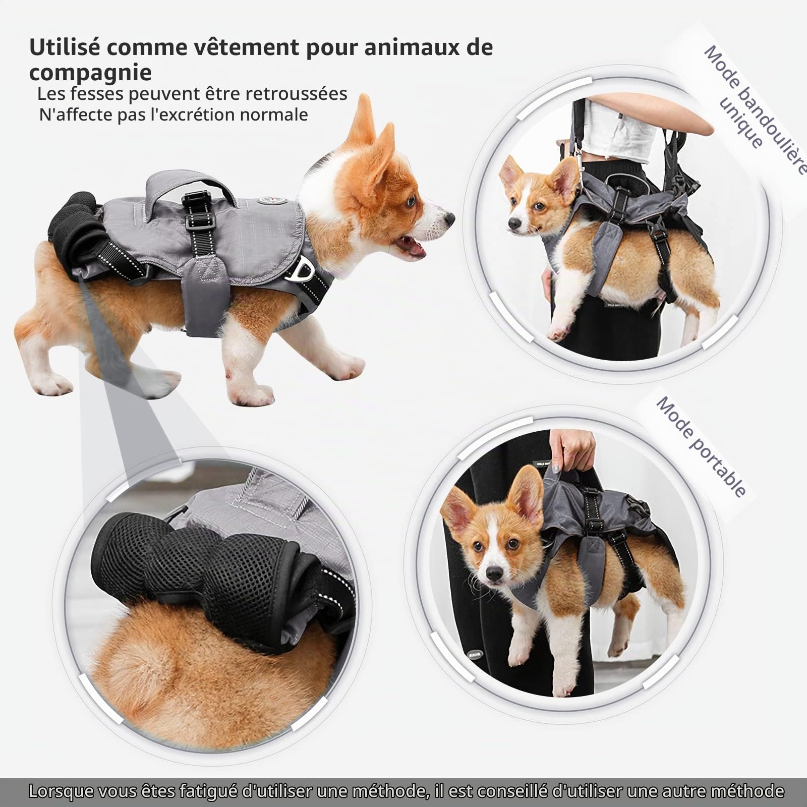 PETCUTE Sac à dos pour animal de compagnie - Réglable - Pour petits chiens et chats - Portable et respirant - Avec bande réfléchissante - Jusqu'à 15 kg - Pour les voyages