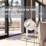 Stadler Form ventilateur de table Leo, mode oscillation verticale en horizontale, silencieux, 4 vitesses, minuterie 1–7 h, télécommande, poignée en similicuir, noir - 2