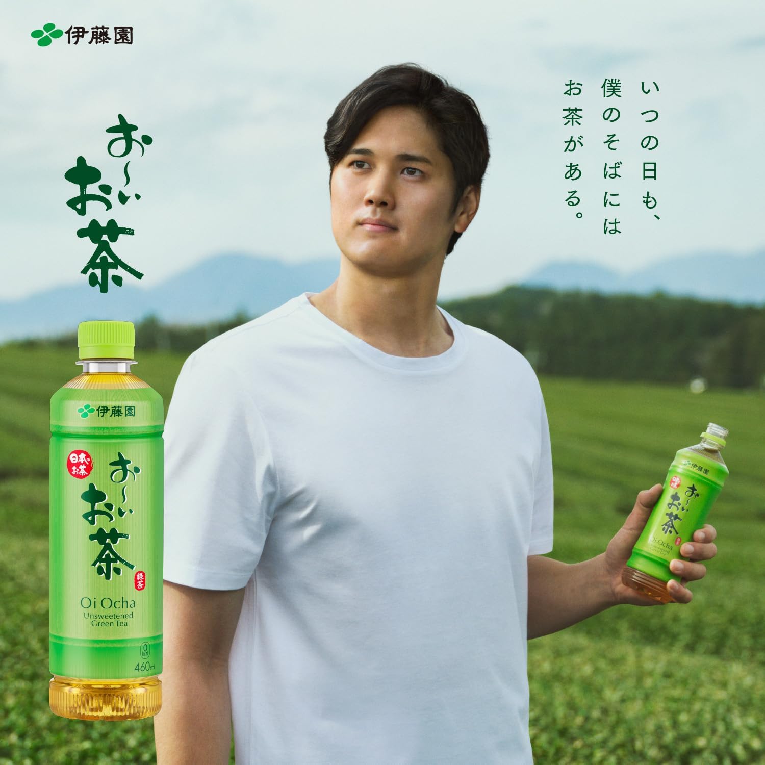 Amazon.co.jp: 【セット買い】伊藤園 おーいお茶 プレミアムティー
