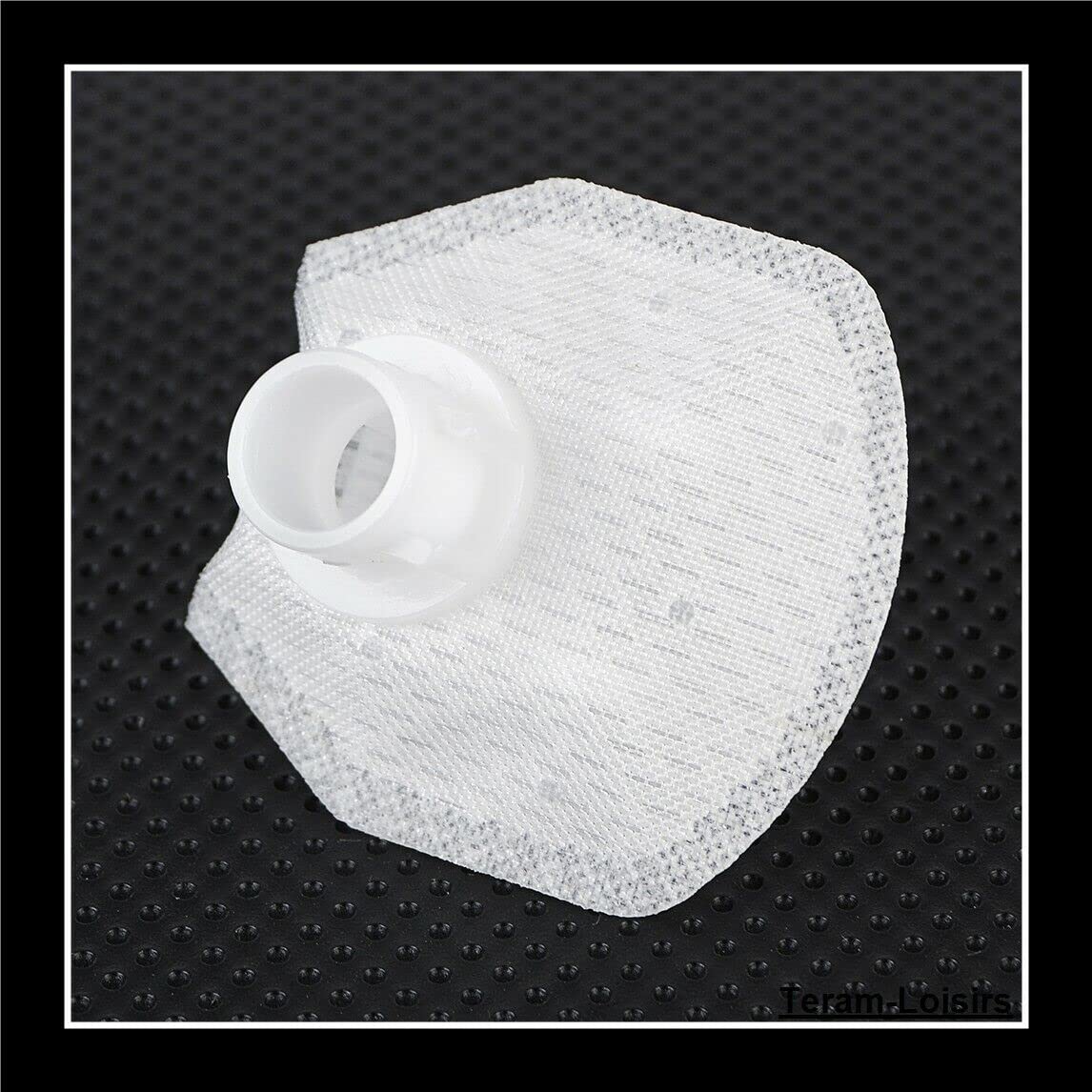TERAM LOISIRS Filtre Pompe à Essence Compatible pour Suzuki GSF 1250 Bandit 1250 de 2007 à 2016 Neuf France