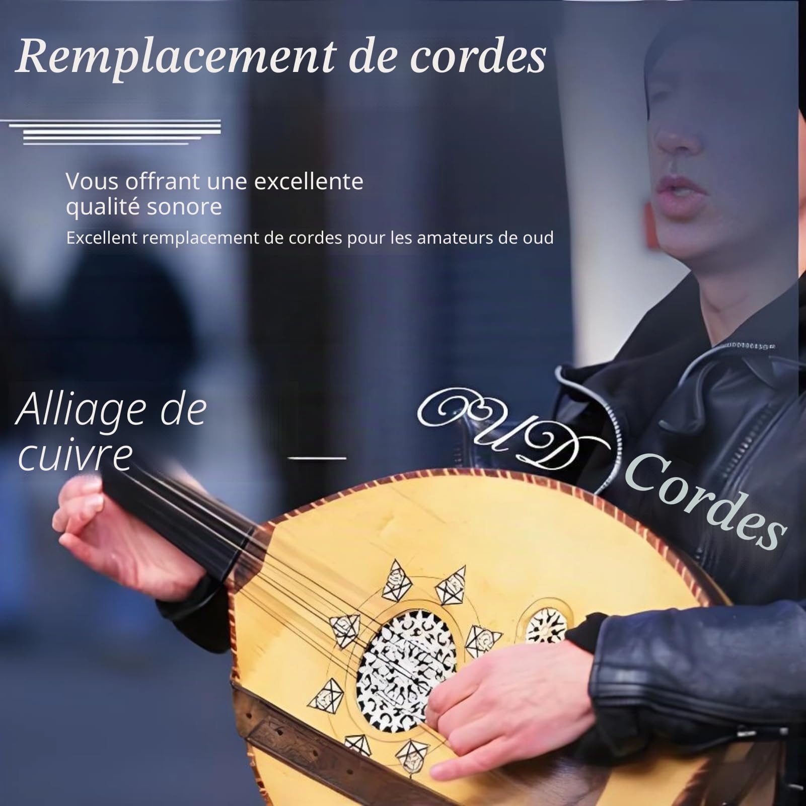 Cordes d'Oud, ensemble de cordes Oud accessoire d'instrument à cordes pour Oud (12 strings)