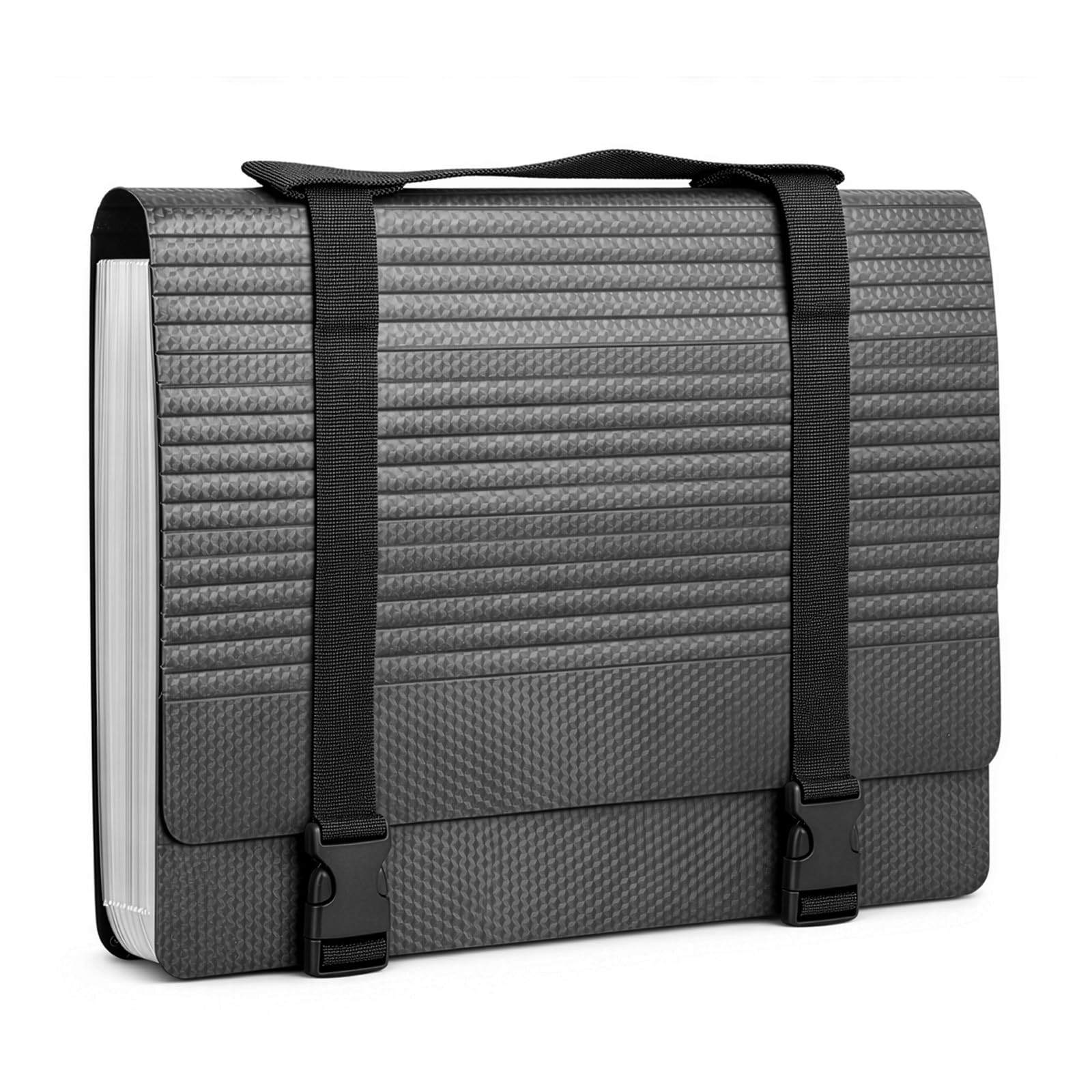 GREENSAPPIRE Expanding File Organiser Box Files Folders with Handle,25 Pockets Portable Filing Folder,Concertina Files and Folders for Paperwork A4,Expandable Paper Bill Document Organiser