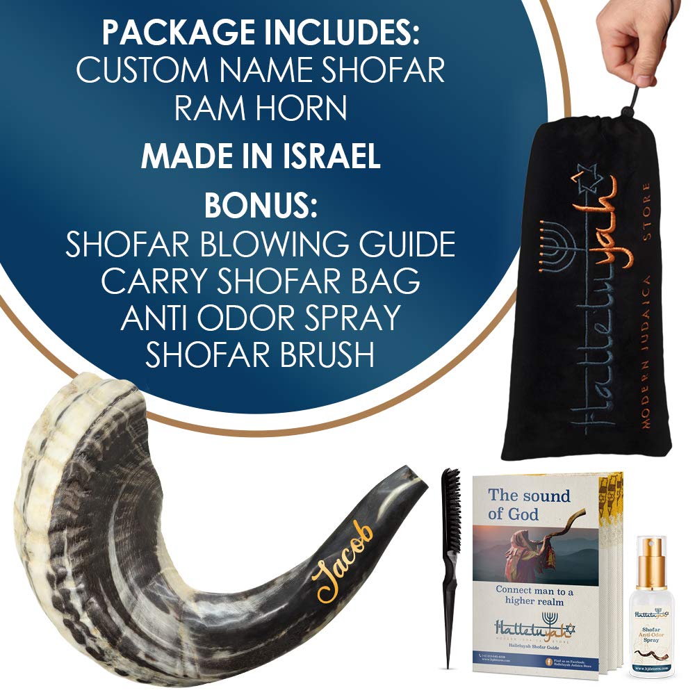 Shofar In Corno Di Ariete - Corno Daturale Con Scanalature - Foto 9