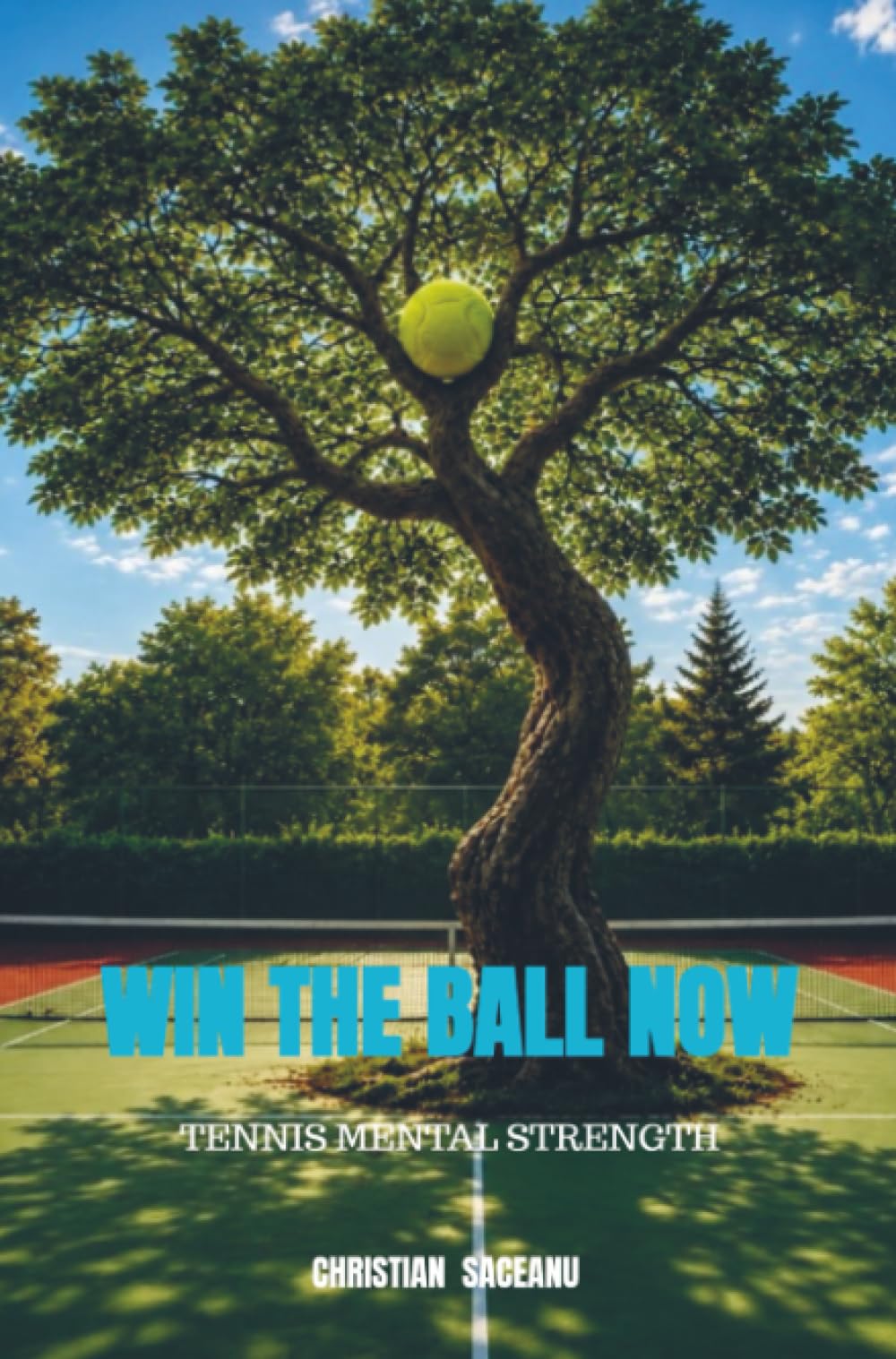 WIN THE BALL NOW: TENNIS MENTAL STRENGTH