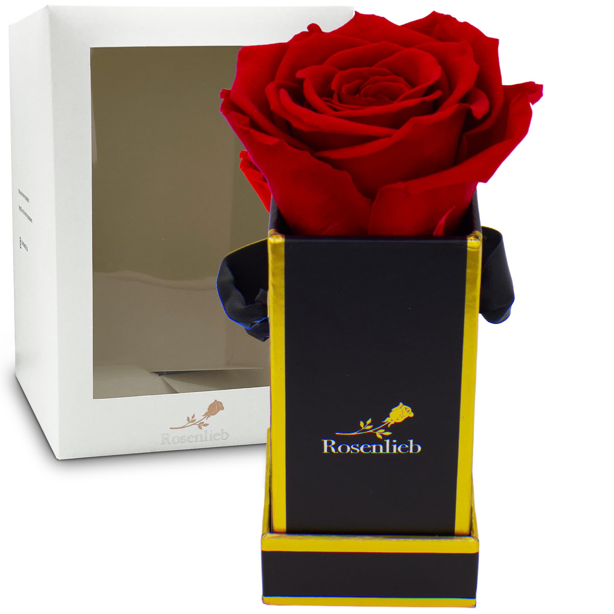 Rosenlieb Scatola Con Rosa Eterna (Infinity Rose) Rossa In Vaso Quadrato Gold. Fiore Conservato Che Dura 3 Anni. Regalo Con Biglietto D'Auguri. Made In Germany. - 2