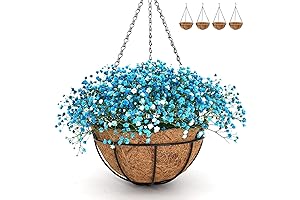 Stunning and Festive Christmas Hanging Baskets for Enhanced Outdoor Décor