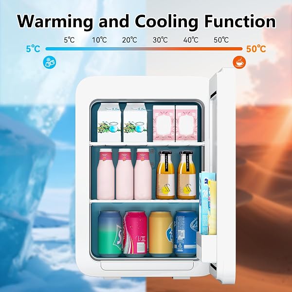ARTETHYS Mini Fridge for Bedrooms 20L Small Car Fridge Mini Refrigerator with System Cooler and Warmer for Home Office, 220V AC/12V DC, Black - 4