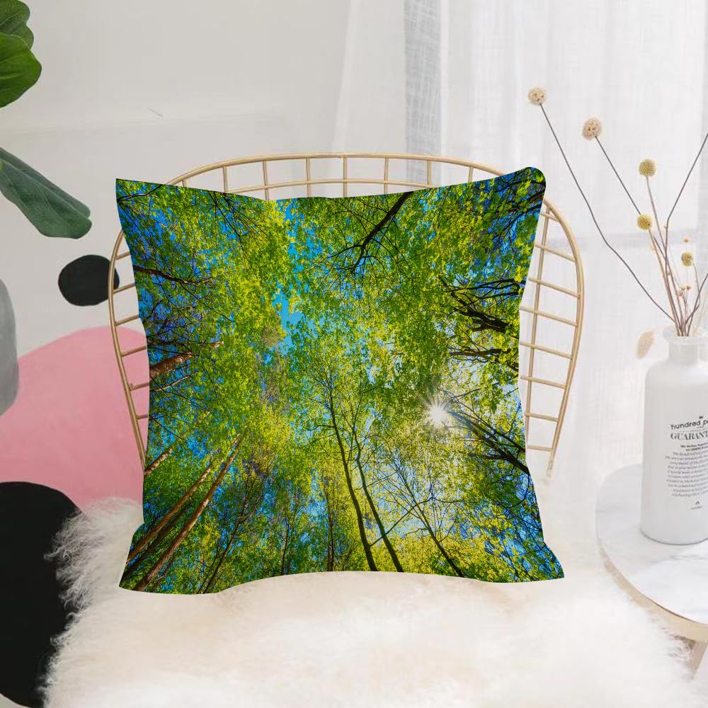 Hyosxw Park Green Forest Background Material - A10 Cushion Cover,Throw Pillow Case Home Decorative For Living Room Bedroom Sofa Chair 18X18 Inch,Park Green Forest Background Material,Pillowcase 45X45cm