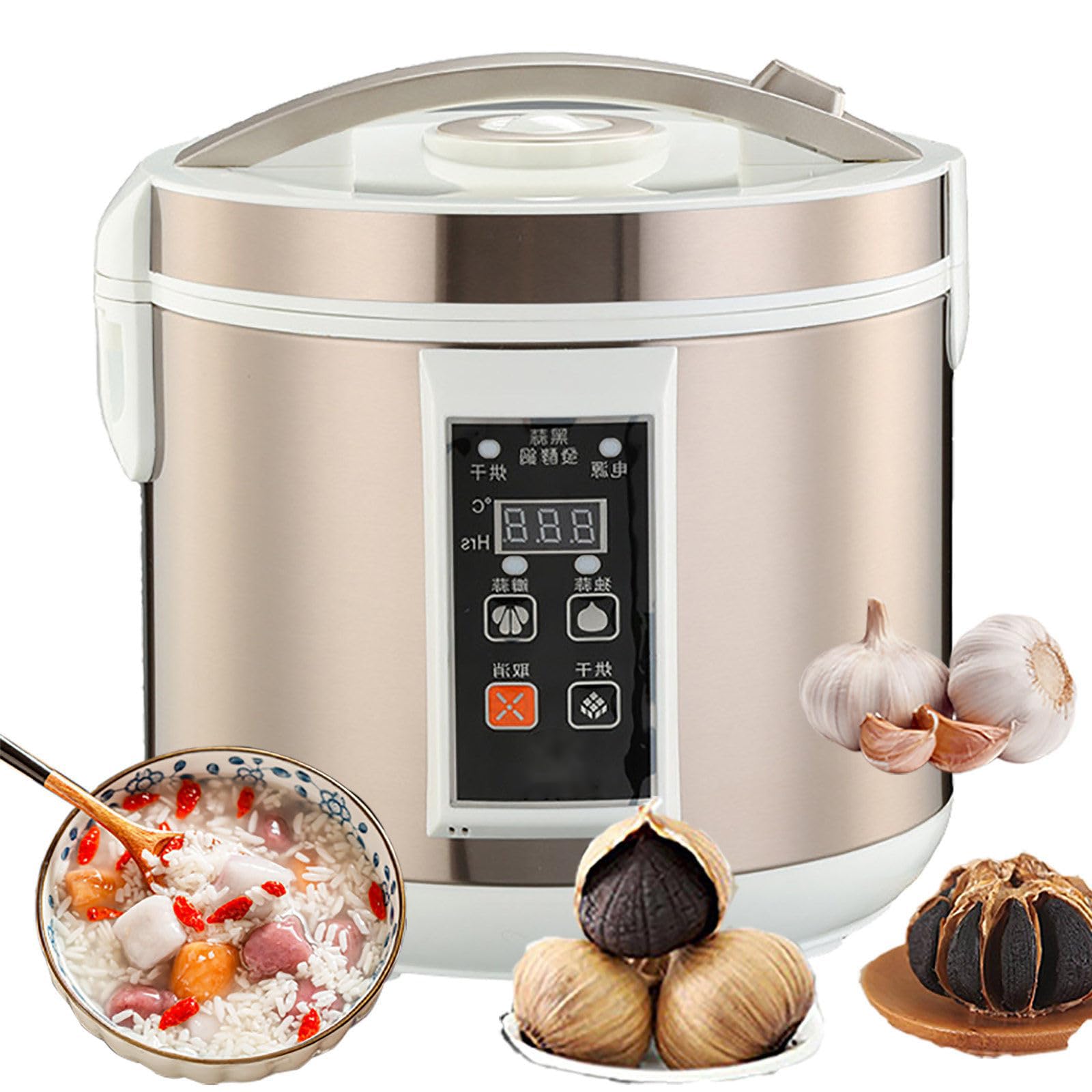 Machine de fermentation d'ail noir multifonctionnelle à support acier inoxydable durable