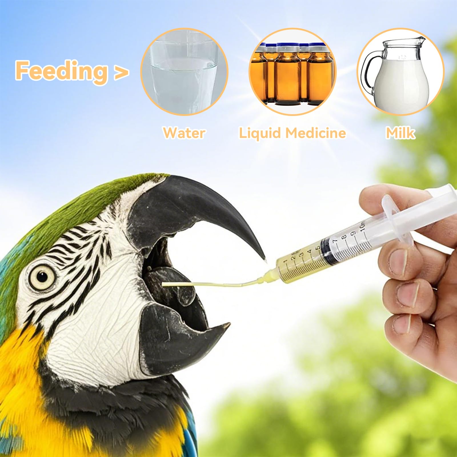 12 Pièces Sondes d'alimentation pour Oisillons, Seringue d'alimentation, Seringue Bébé Oiseau avec 2 Seringues de 10 ML, pour Perroquets, et Petits Animaux pour Jeunes Oiseaux