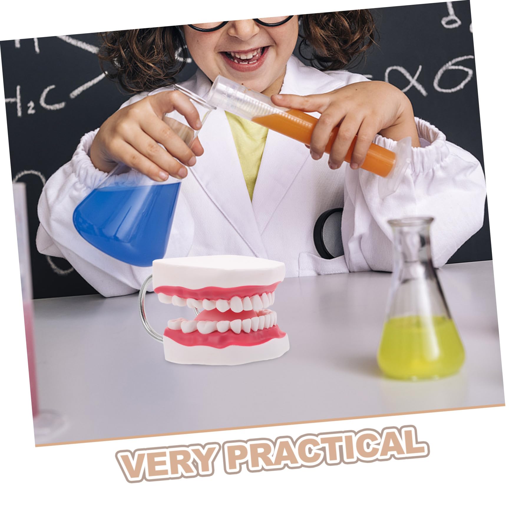 Preparazione Dei Denti Uso Del Lingua - Odontoiatria Per Typodont E Studenti Fai Da Te Gengive Protesi Dentaria Ortodontica Professionisti Umani Formazione