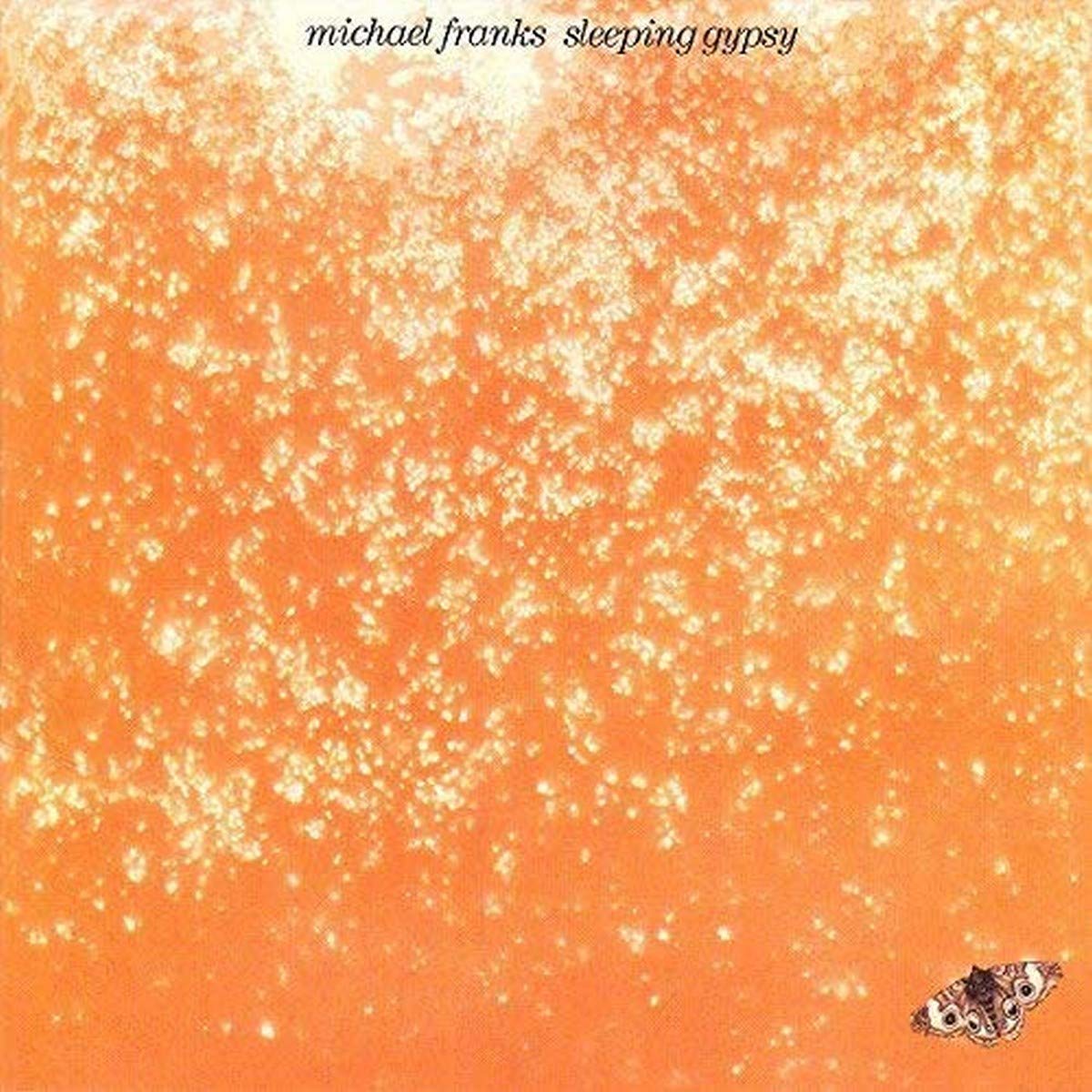 MICHAEL FRANKS - Sleeping Gypsy - Disque CD