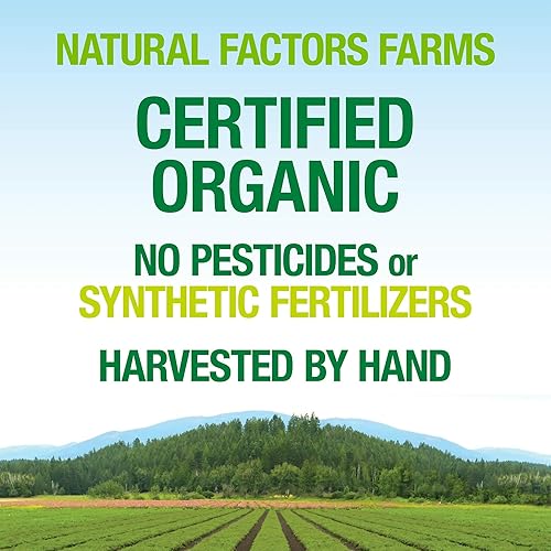 Miniatura 5 de Whole Earth & Sea from Natural Factors, Super Champiñón, Suplemento alimenticio integral, vegano, 60 cápsulas vegetarianas (60 porciones)