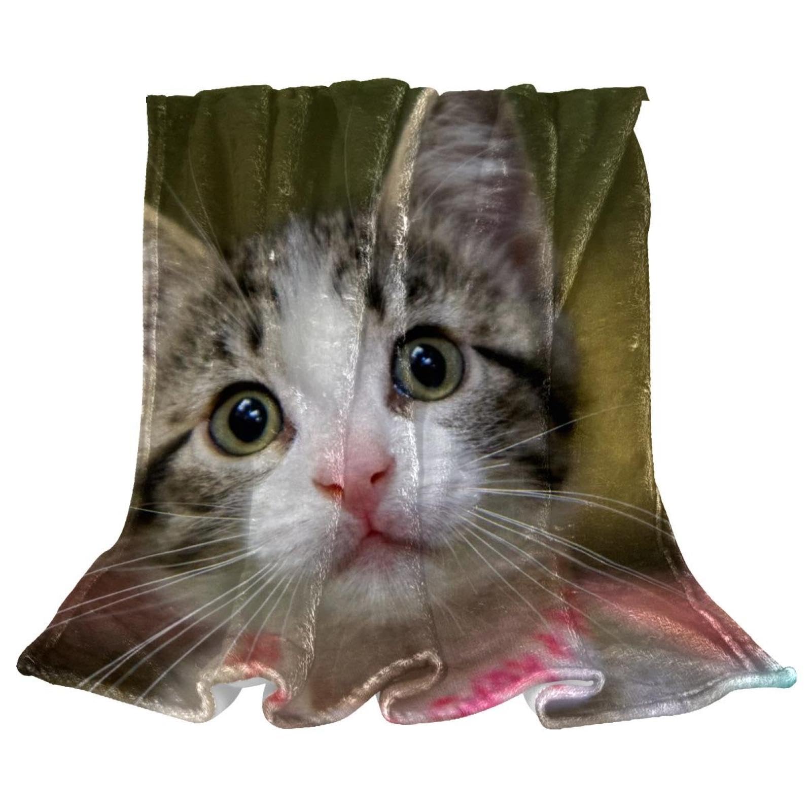 Couverture polaire chaton plaid anti-froid pour lit et canape