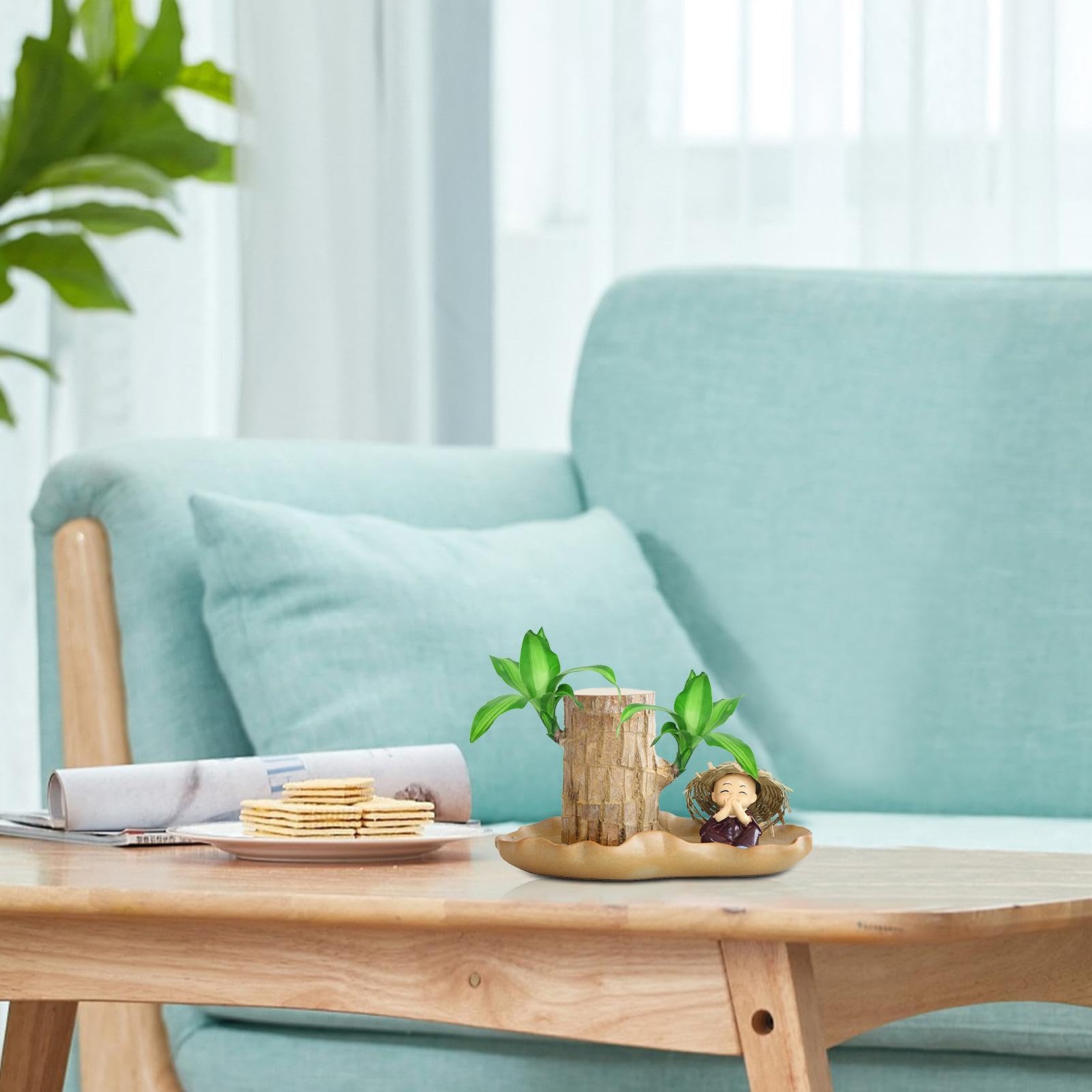 Amazon.com : GLANSI Air Purifying Plants Indoor, Brazilian Wood