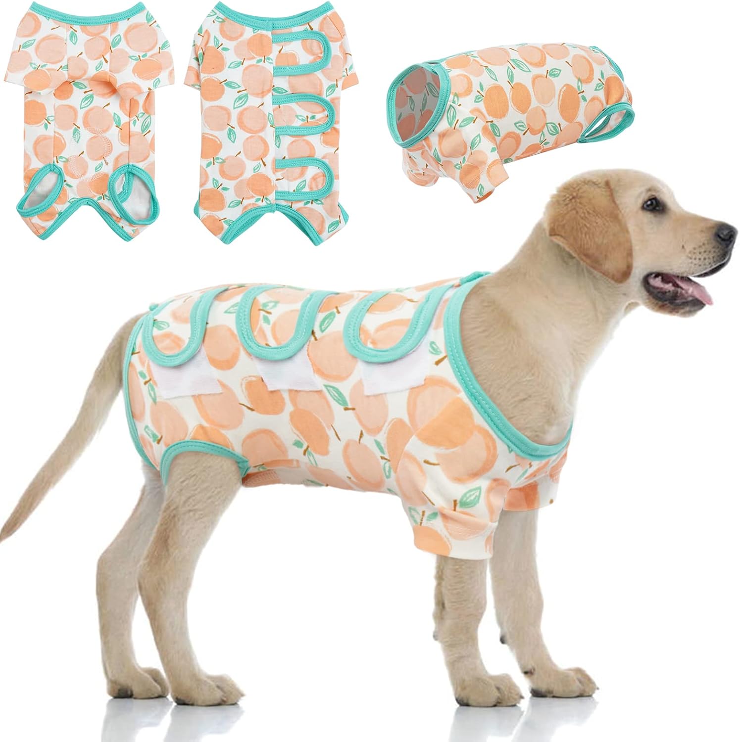 Hjyokuso Body Chien Post Operatoire, Femelle